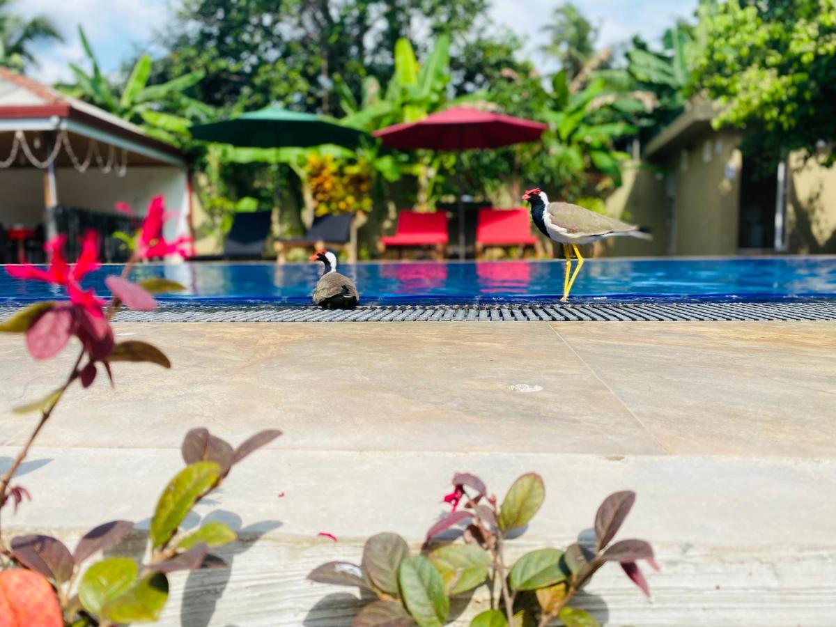 The Kingslayer Resort Negombo Dış mekan fotoğraf